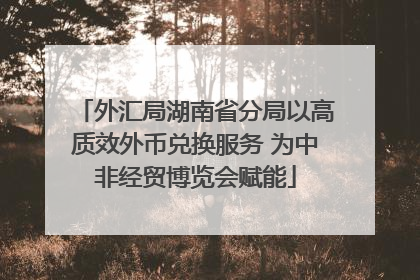 外汇局湖南省分局以高质效外币兑换服务 为中非经贸博览会赋能