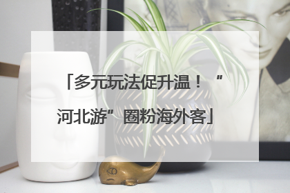 多元玩法促升温！“河北游”圈粉海外客