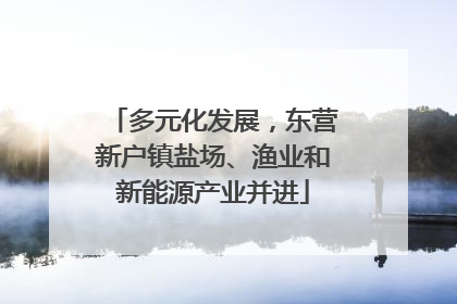 多元化发展，东营新户镇盐场、渔业和新能源产业并进