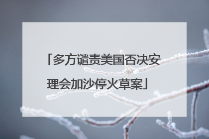 多方谴责美国否决安理会加沙停火草案