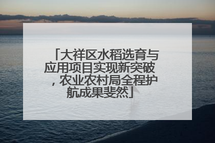 大祥区水稻选育与应用项目实现新突破，农业农村局全程护航成果斐然