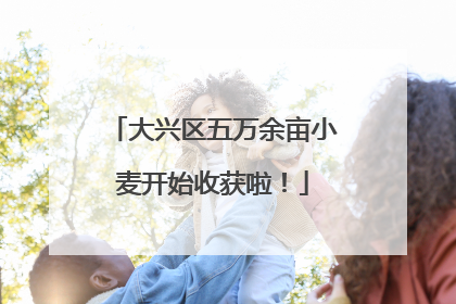 大兴区五万余亩小麦开始收获啦！