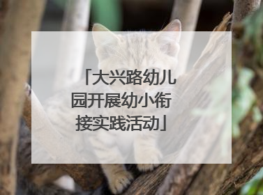 大兴路幼儿园开展幼小衔接实践活动