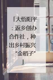 大悟阳平：返乡创办合作社，种出乡村振兴“金稻子”