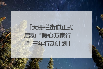 大栅栏街道正式启动“暖心万家行”三年行动计划