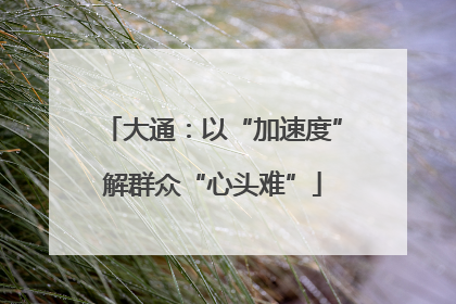 大通：以“加速度”解群众“心头难”