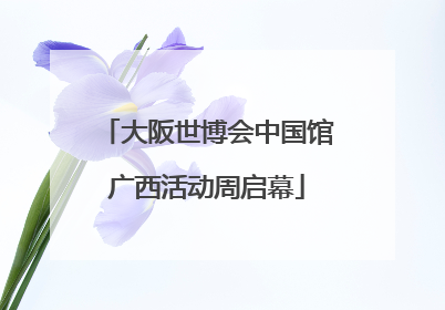 大阪世博会中国馆广西活动周启幕