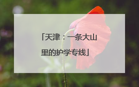 天津：一条大山里的护学专线