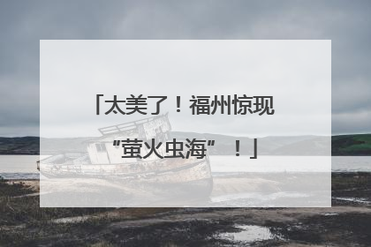 太美了！福州惊现“萤火虫海”！