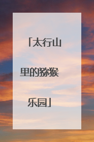 太行山里的猕猴乐园