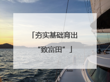 夯实基础育出“致富田”