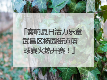 奏响夏日活力乐章 武昌区杨园街道篮球赛火热开赛！