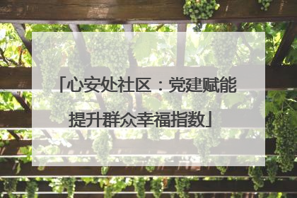心安处社区：党建赋能 提升群众幸福指数