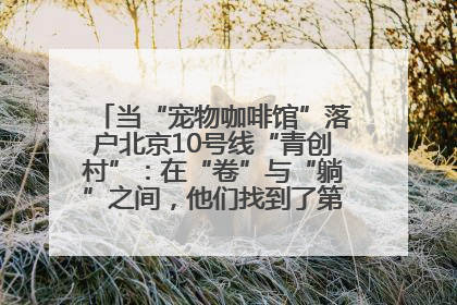 当“宠物咖啡馆”落户北京10号线“青创村”：在“卷”与“躺”之间，他们找到了第三种生活公式