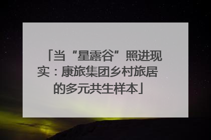 当“星露谷”照进现实：康旅集团乡村旅居的多元共生样本
