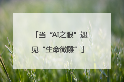 当“AI之眼”遇见“生命微雕”