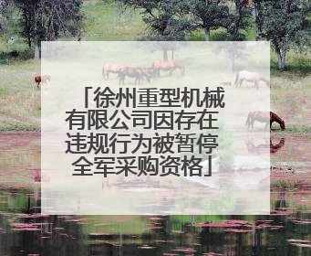 徐州重型机械有限公司因存在违规行为被暂停全军采购资格