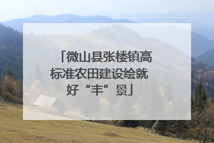 微山县张楼镇高标准农田建设绘就好“丰”景
