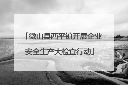 微山县西平镇开展企业安全生产大检查行动