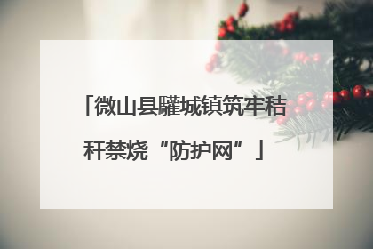 微山县驩城镇筑牢秸秆禁烧“防护网”