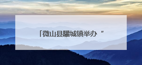 微山县驩城镇举办“浓情端午·圆梦微心愿”爱心帮扶活动