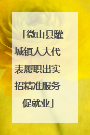微山县驩城镇人大代表履职出实招精准服务促就业