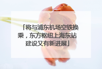 将与浦东机场空铁换乘，东方枢纽上海东站建设又有新进展