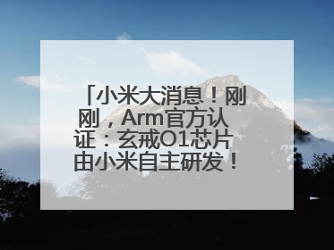 小米大消息！刚刚，Arm官方认证：玄戒O1芯片由小米自主研发！雷军此前称已开始大规模量产