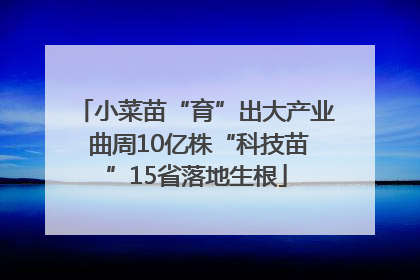 小菜苗“育”出大产业 曲周10亿株“科技苗”15省落地生根