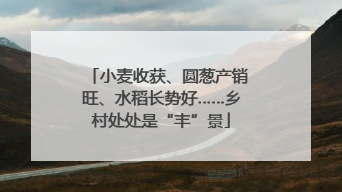 小麦收获、圆葱产销旺、水稻长势好……乡村处处是“丰”景