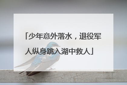 少年意外落水，退役军人纵身跳入湖中救人