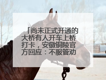尚未正式开通的大桥有人开车上桥打卡，安徽铜陵官方回应：不服管劝擅自进入，已采取措施