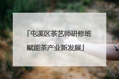 屯溪区茶艺师研修班赋能茶产业新发展