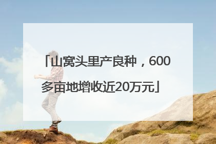 山窝头里产良种，600多亩地增收近20万元