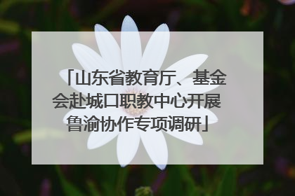 山东省教育厅、基金会赴城口职教中心开展鲁渝协作专项调研