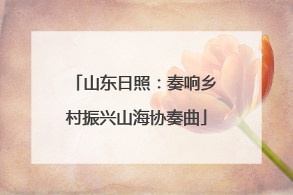 山东日照：奏响乡村振兴山海协奏曲