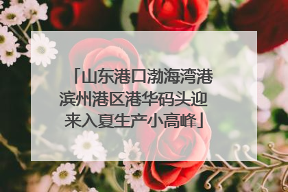 山东港口渤海湾港滨州港区港华码头迎来入夏生产小高峰