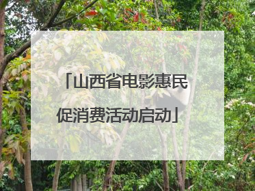 山西省电影惠民促消费活动启动