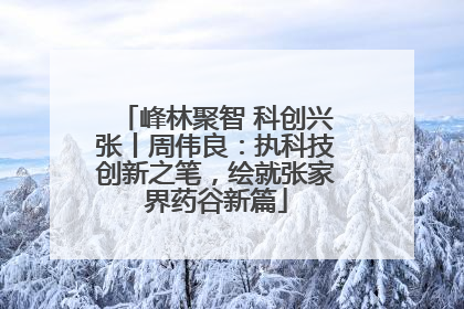 峰林聚智 科创兴张丨周伟良：执科技创新之笔，绘就张家界药谷新篇