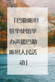 巴勒斯坦驻华使馆举办声援巴勒斯坦人民活动