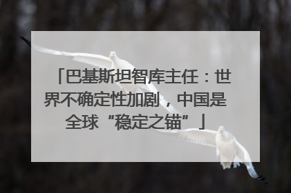 巴基斯坦智库主任：世界不确定性加剧，中国是全球“稳定之锚”