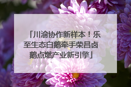 川渝协作新样本！乐至生态白鹅牵手荣昌卤鹅点燃产业新引擎
