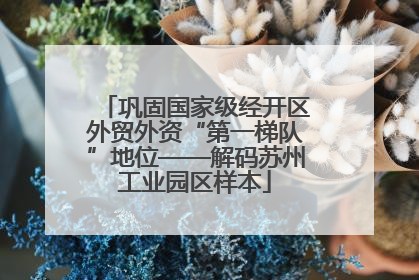 巩固国家级经开区外贸外资“第一梯队”地位——解码苏州工业园区样本