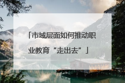 市域层面如何推动职业教育“走出去”
