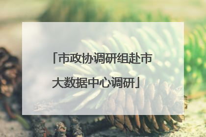 市政协调研组赴市大数据中心调研