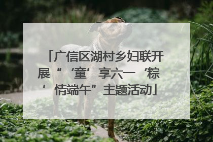 广信区湖村乡妇联开展“‘童’享六一‘粽’情端午”主题活动