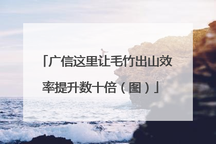 广信这里让毛竹出山效率提升数十倍（图）