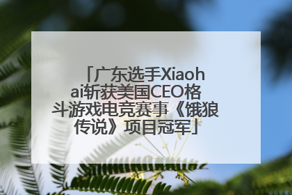 广东选手Xiaohai斩获美国CEO格斗游戏电竞赛事《饿狼传说》项目冠军