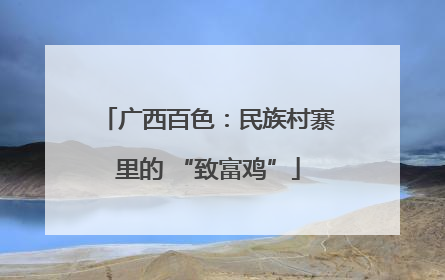 广西百色：民族村寨里的 “致富鸡”