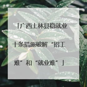 广西上林县稳就业十条措施破解“招工难”和“就业难”